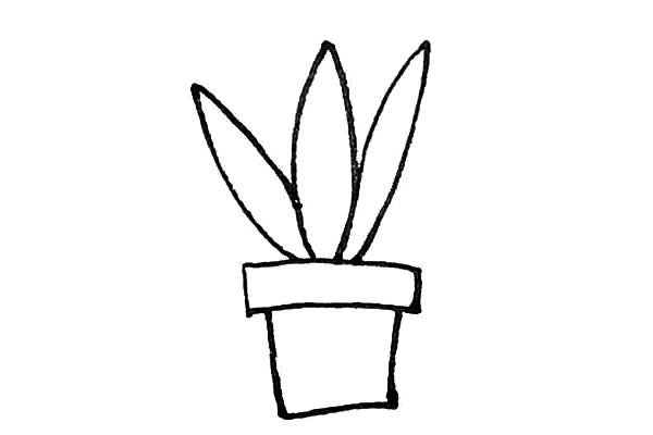 虎皮兰简笔画