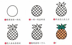 菠萝简笔画步骤图片大全