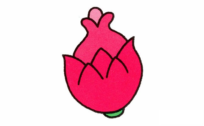 火龙果简笔画步骤图片大全