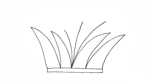 芦苇简笔画