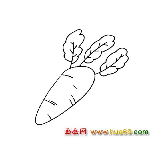 细长的萝卜简笔画4
