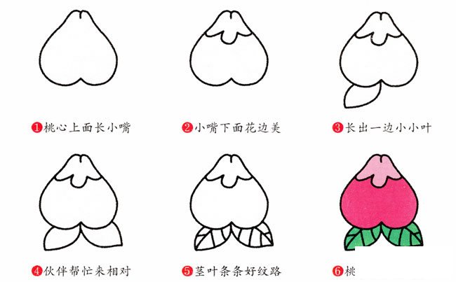 水蜜桃简笔画步骤图片大全