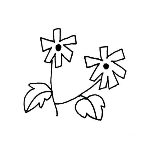 菊花简单画法