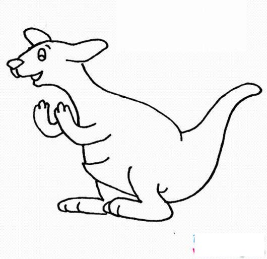 幼儿袋鼠简笔画图片