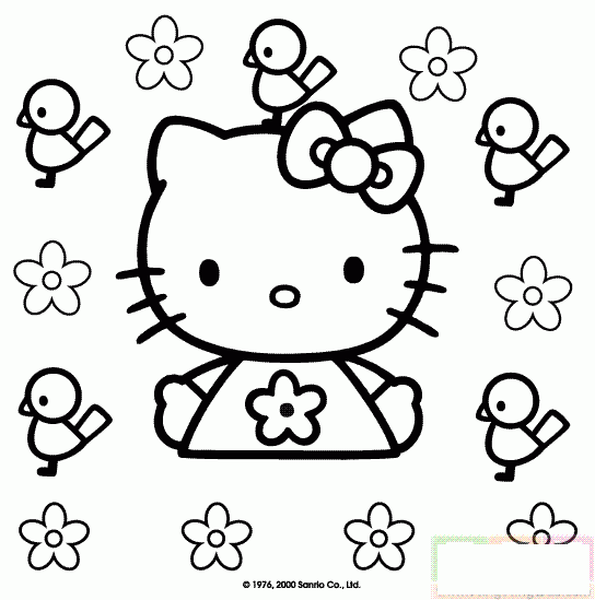 KITTY猫和小鸟简笔画