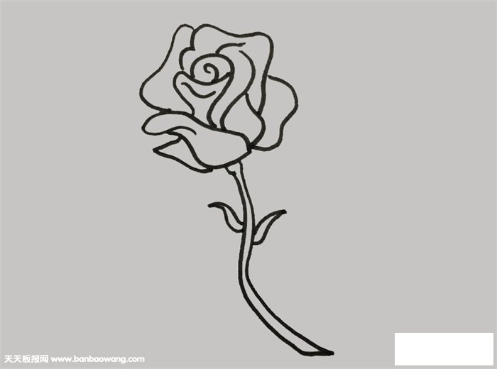 蔷薇花怎么画