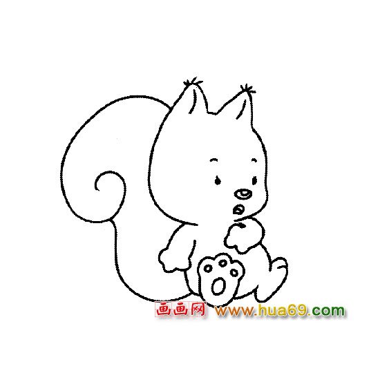 松鼠简笔画：松鼠宝宝3