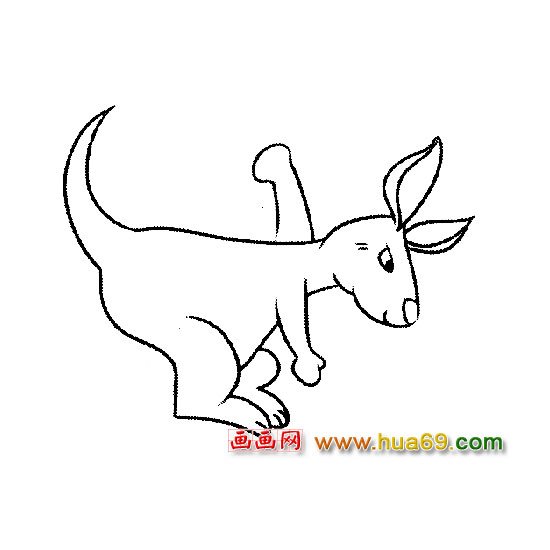 袋鼠简笔画：拳击高手4