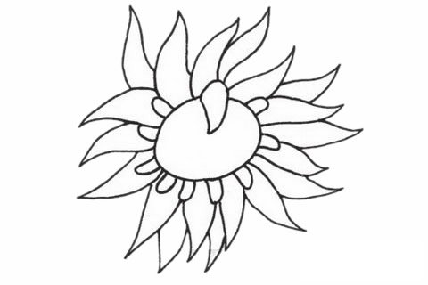 海葵简笔画