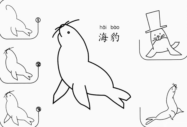 海豹怎么画简笔画图片