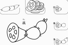 幼儿莲藕怎么画简笔画图片