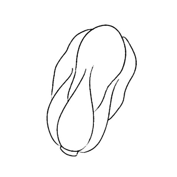 大白菜简笔画
