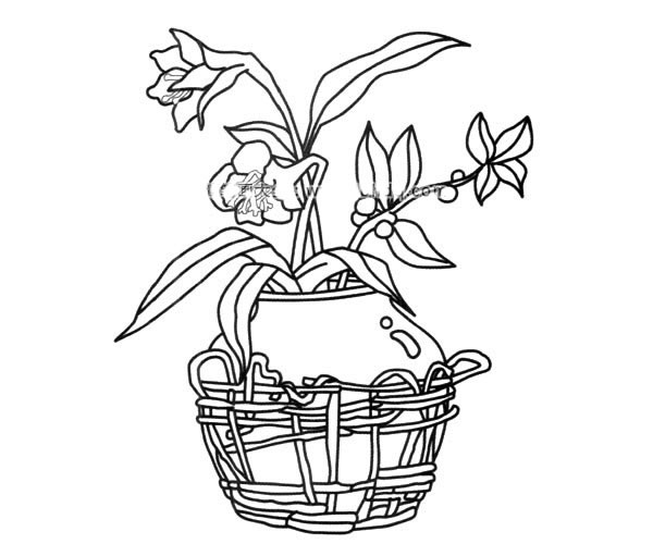 盆栽花朵简笔画图片
