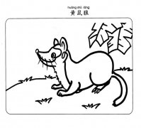 黄鼠狼简笔画图片素材