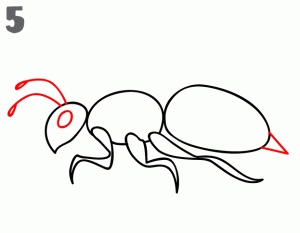 马蜂简笔画步骤图