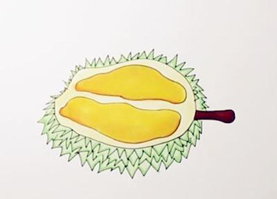 水果之王榴莲简笔画步骤图