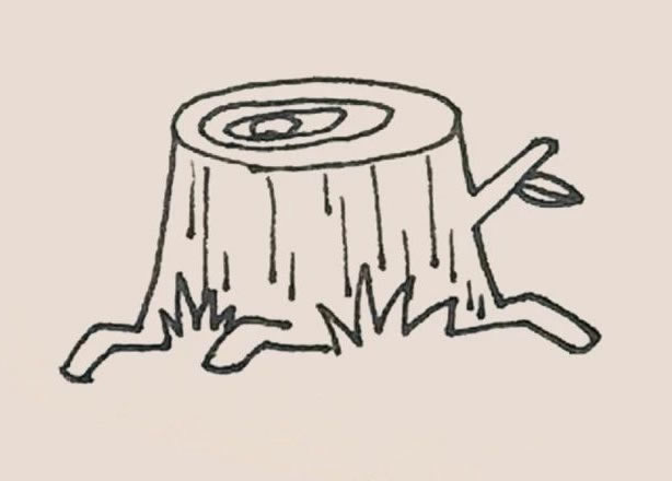 树桩简笔画的画法步骤图