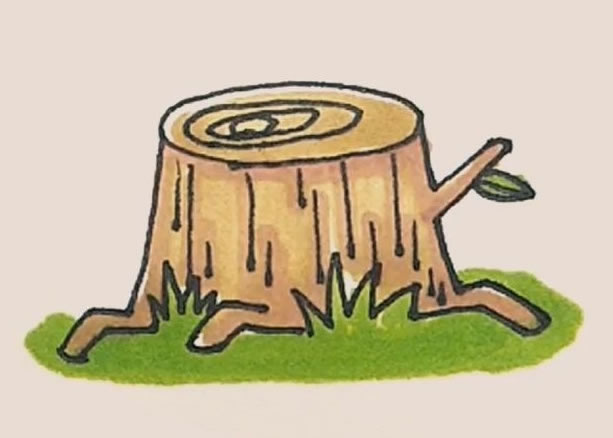 树桩简笔画的画法步骤图