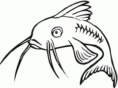 鲶鱼简笔画简单画法图片大全