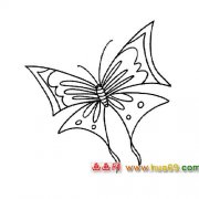 美丽的蝴蝶（简笔画）1