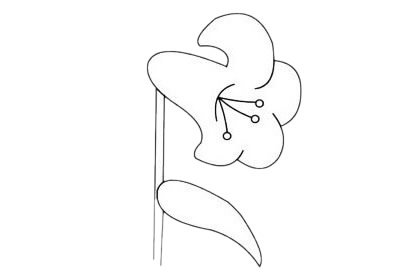 百合花简笔画图片