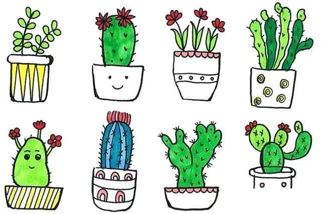 盆栽植物简笔画8