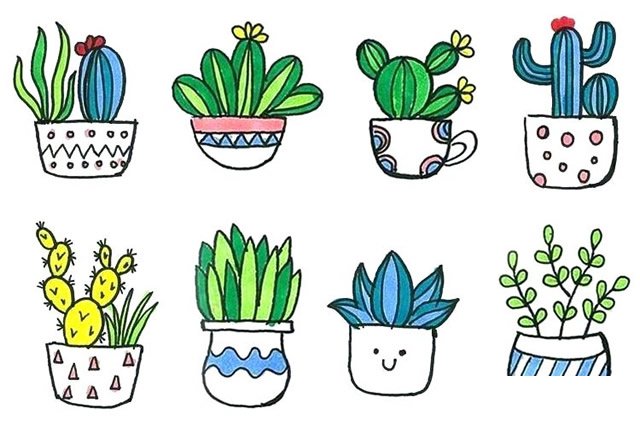 盆栽植物简笔画5