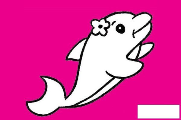 海豚简笔画图片