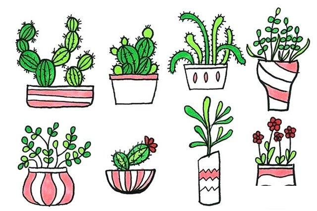 盆栽植物简笔画2