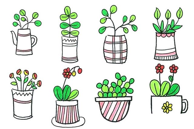 盆栽植物简笔画1