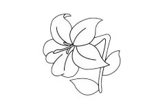 百合花简笔画画法步骤及图片大全