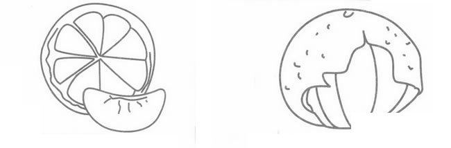 橘子简笔画