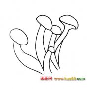 植物简笔画：金针菇1