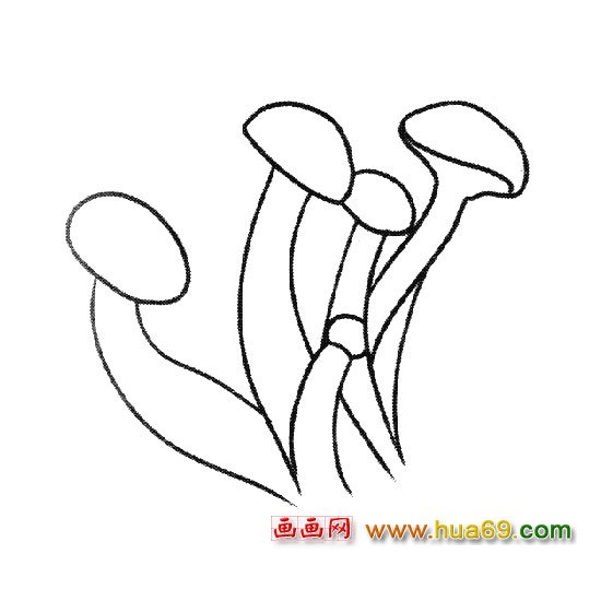 植物简笔画：金针菇1