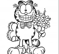 加菲猫动物简笔画步骤图片大全二
