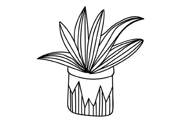 手绘盆栽植物简笔画图片
