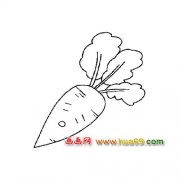 卡通萝卜（简笔画）2