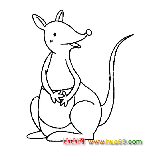 高兴的袋鼠【简笔画】5