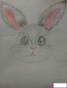 小动物简笔画图片，超萌小兔子简笔画