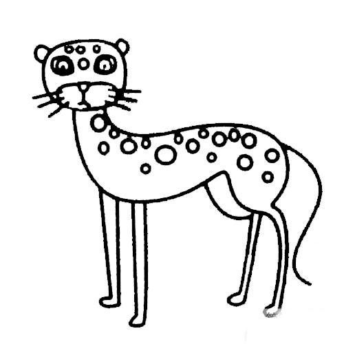 动物猎豹简笔画步骤教程