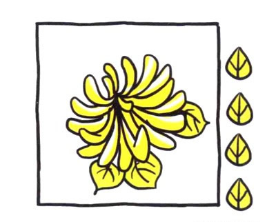 四步画出菊花简笔画图片