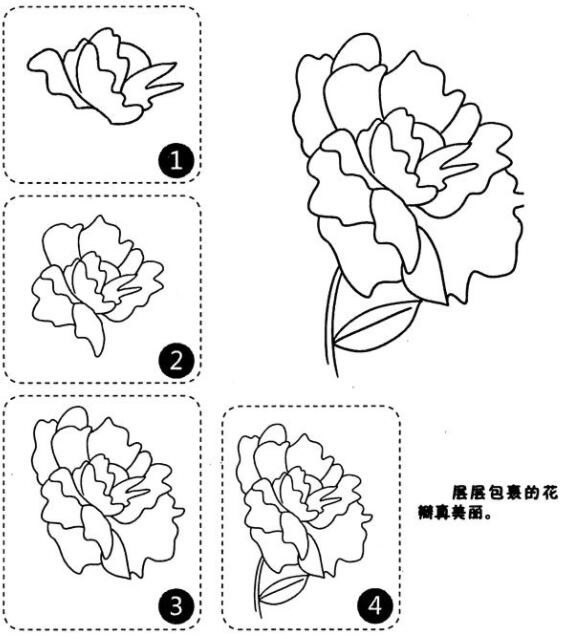 牡丹花简笔画图片大全