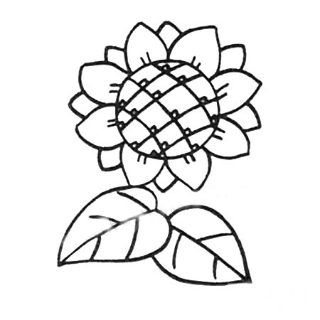 向日葵简笔画