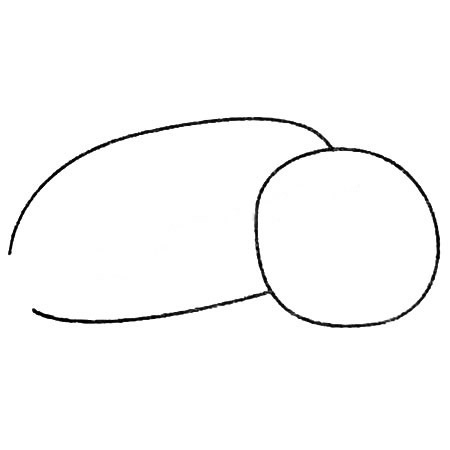 莲藕简笔画图片