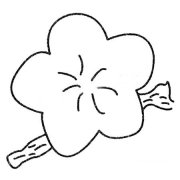 8款梅花简笔画图片大全