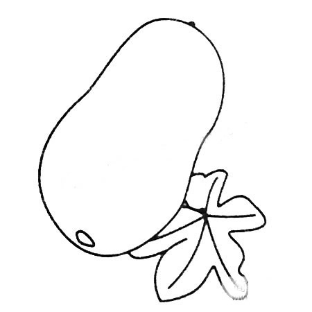 冬瓜简笔画大全及画法步骤