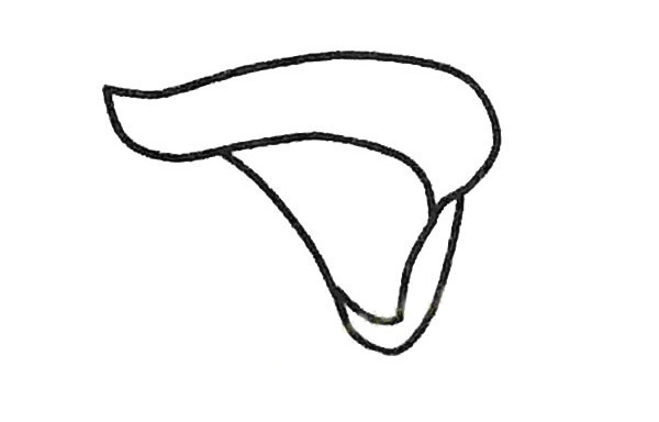 马蹄莲简笔画