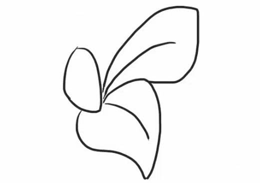 桔梗花简笔画教程