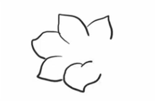 杜鹃花简笔画的画法步骤图