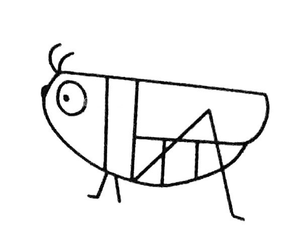 儿童学画蚱蜢简笔画步骤4